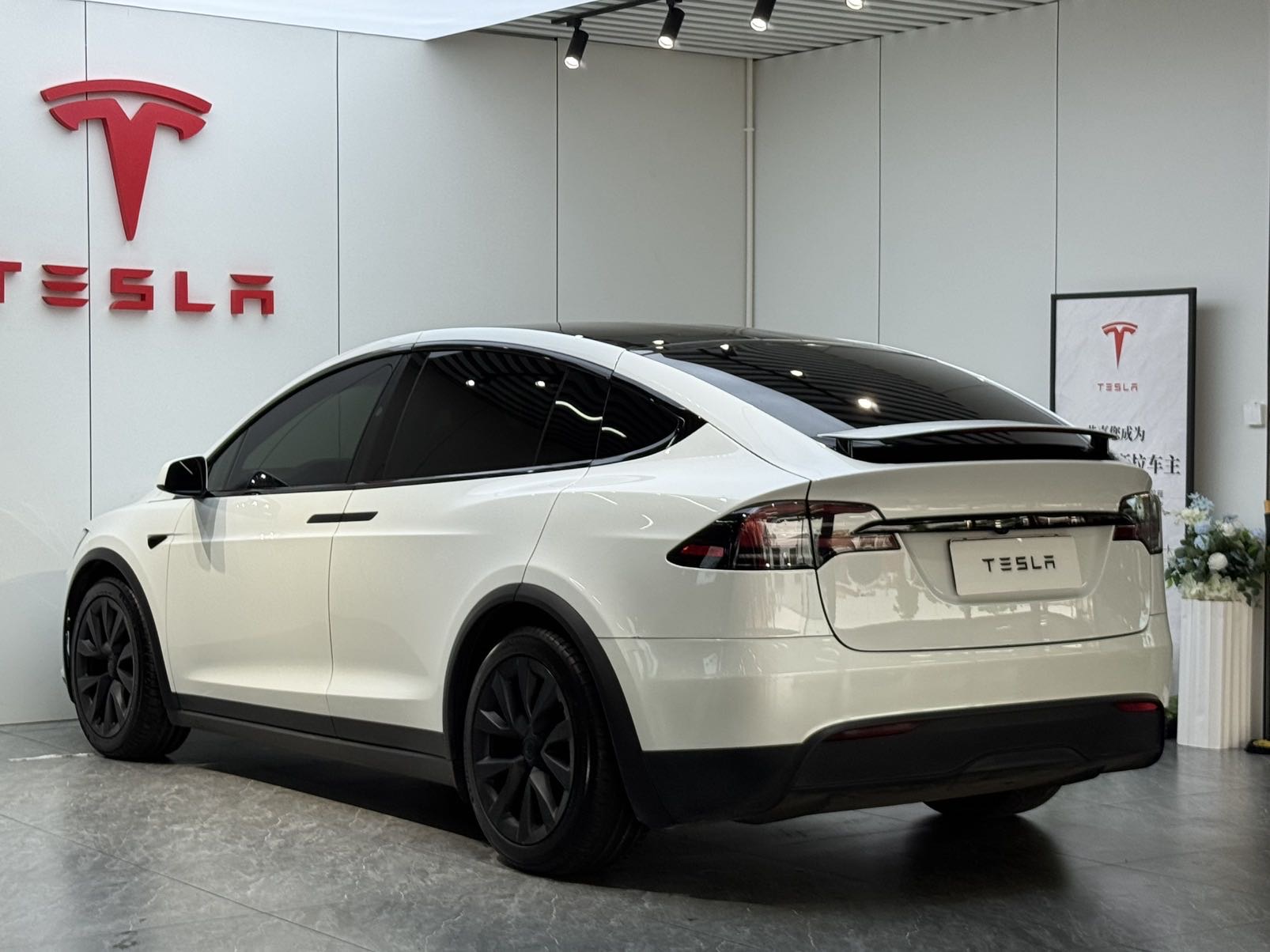 Tesla Model X 2023 car image #6