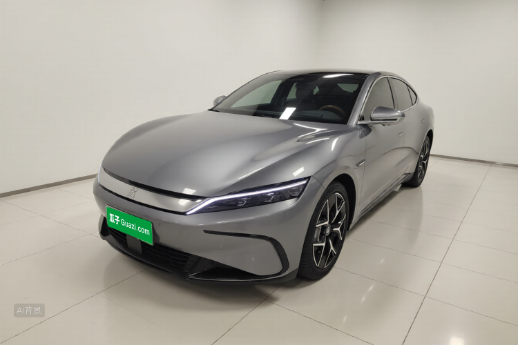 BYD Han 2022 imagen de coche #2