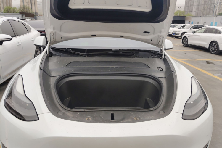Tesla Model Y 2021 car image #20