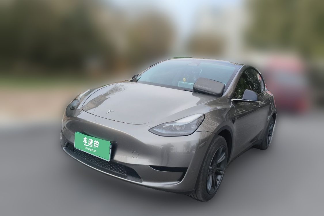 Tesla Model Y 2024 car image 