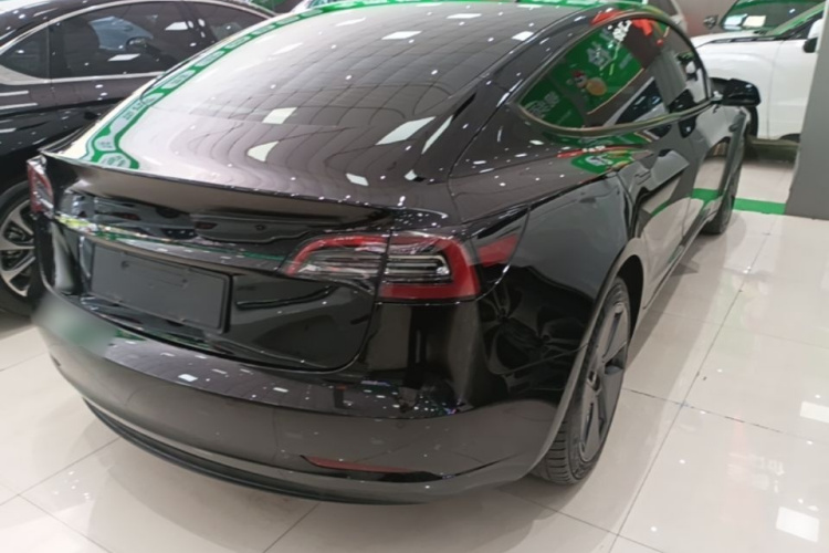 Tesla Model 3 2022 car image #7