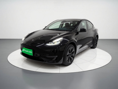 Tesla Model Y 2023 Tesla Model Y 2023 car image