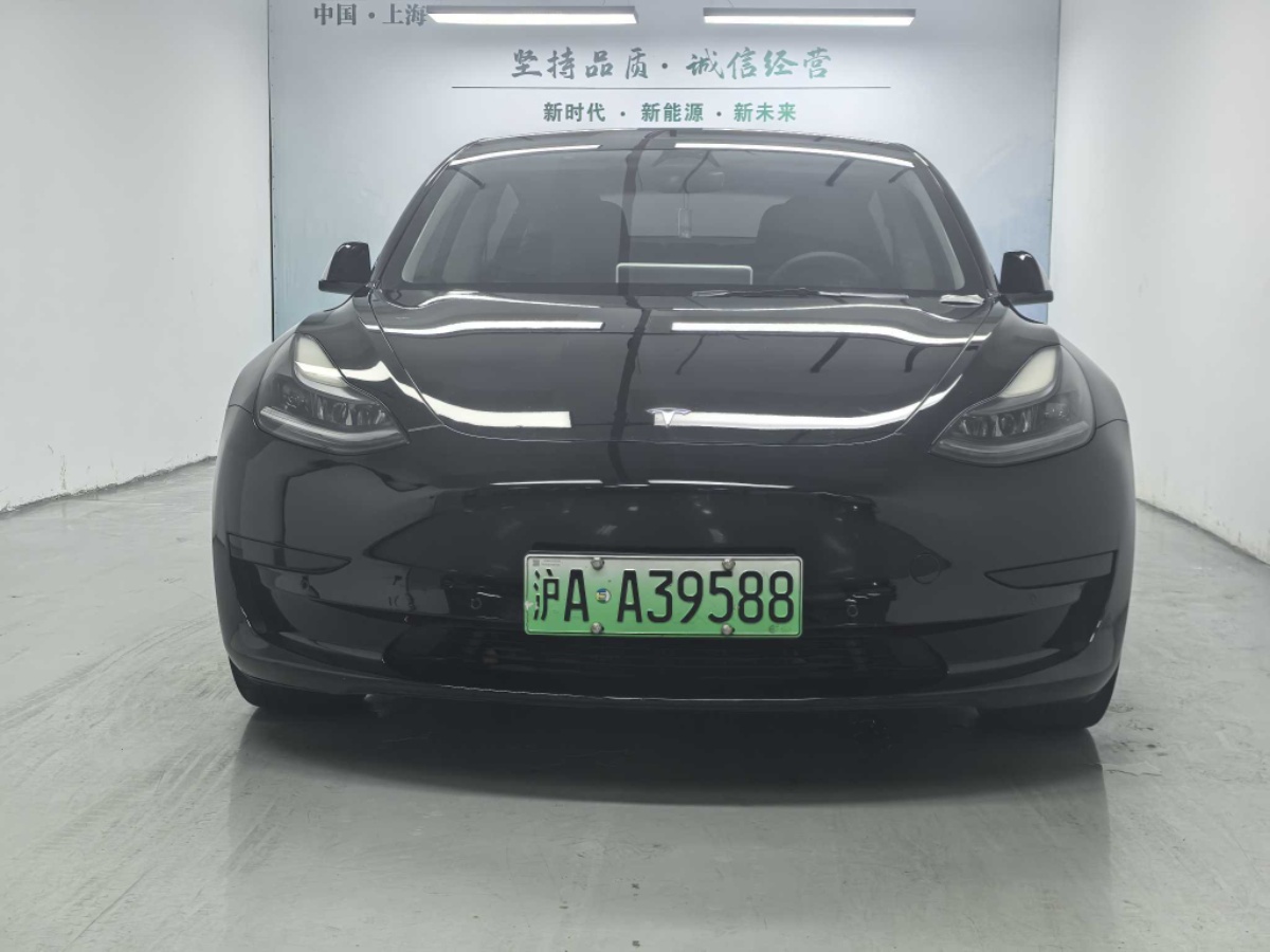 Tesla Model 3 2021 #2 Tesla Model 3 2021 car image #2