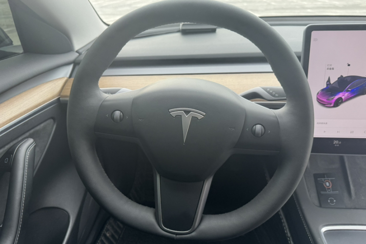 Tesla Model 3 2021 #25 Tesla Model 3 2021 car image #25
