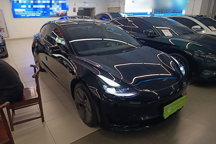 Tesla Model 3 2021 #4 Tesla Model 3 2021 car image #4