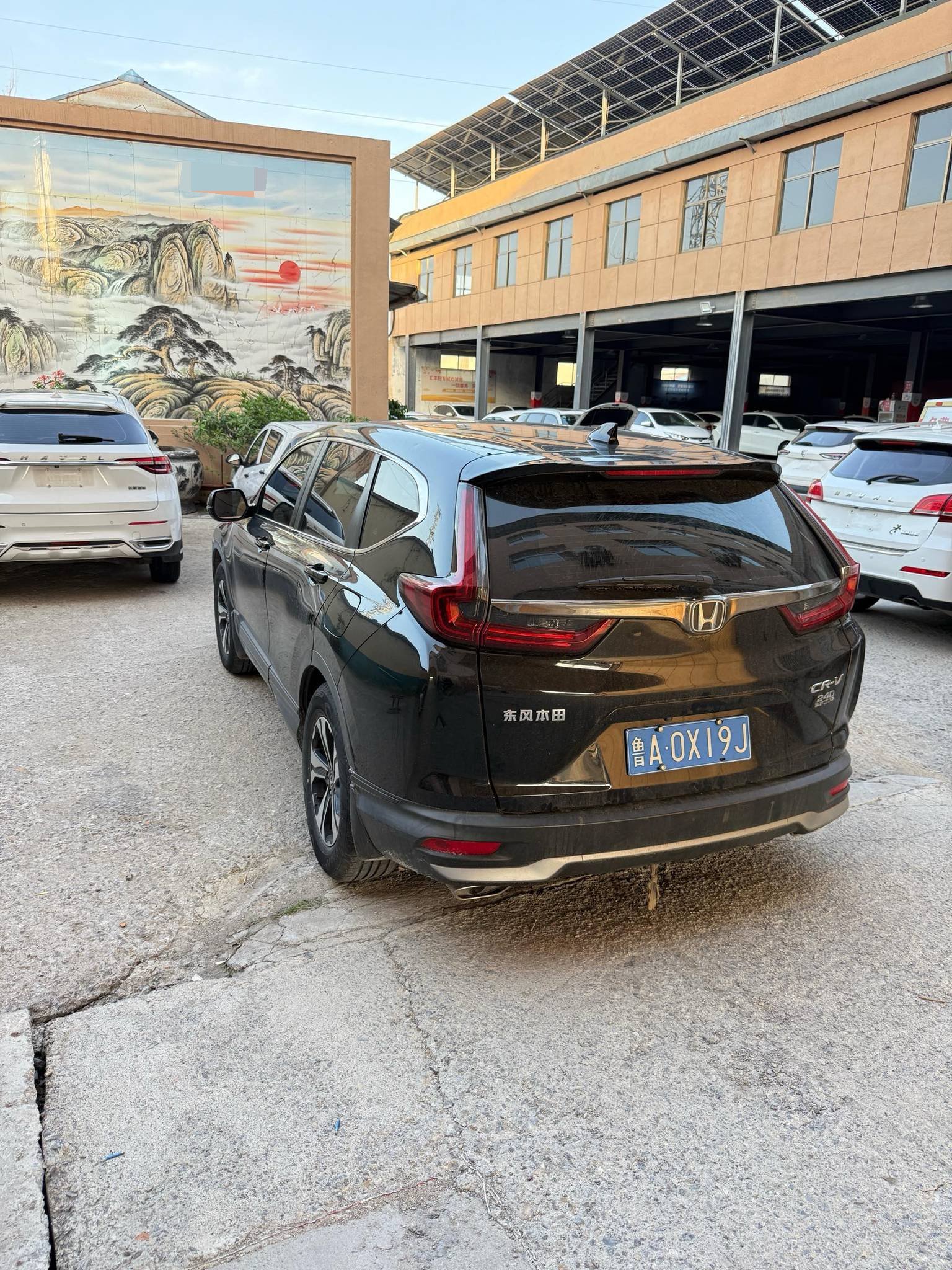 Honda CR-V 2020 car image #7