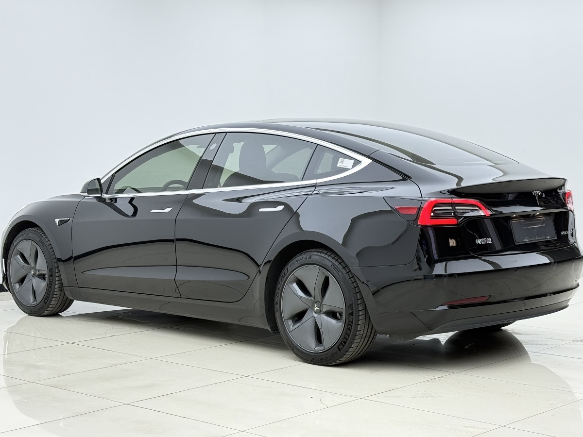 Tesla Model 3 2020 car image #8