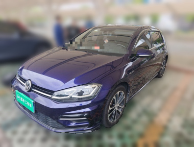 Volkswagen Golf 2019 Volkswagen Golf 2019 car image