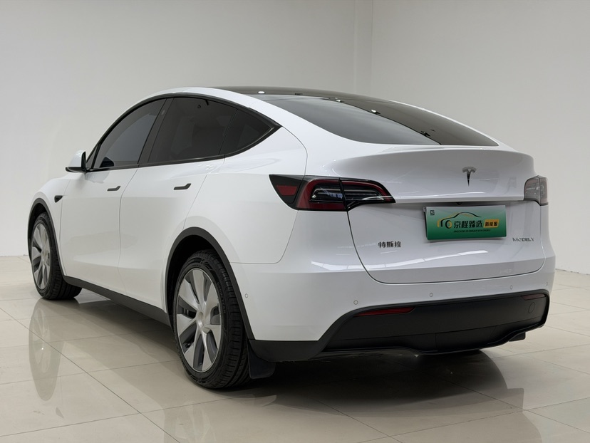 Tesla Model Y 2021 car image #9