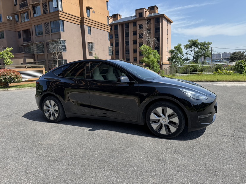 Tesla Model Y 2021 car image #3