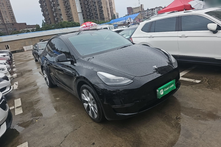 Tesla Model Y 2021 immagine di auto #4