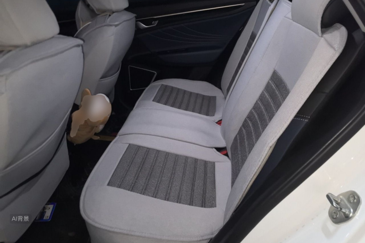 GEELY Emgrand GL 2020 car image #19