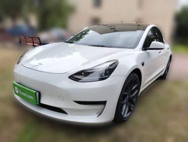 Tesla Model 3 2021 Tesla Model 3 2021 car image