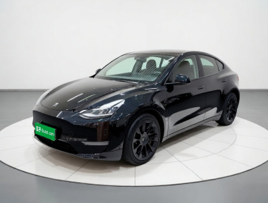 Tesla Model Y 2021 car image 