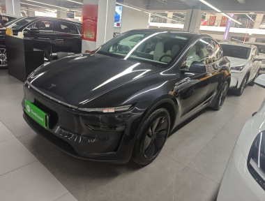 Tesla Model Y 2025 car image 