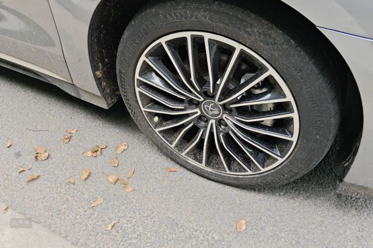 BYD Han 2022 car image #9