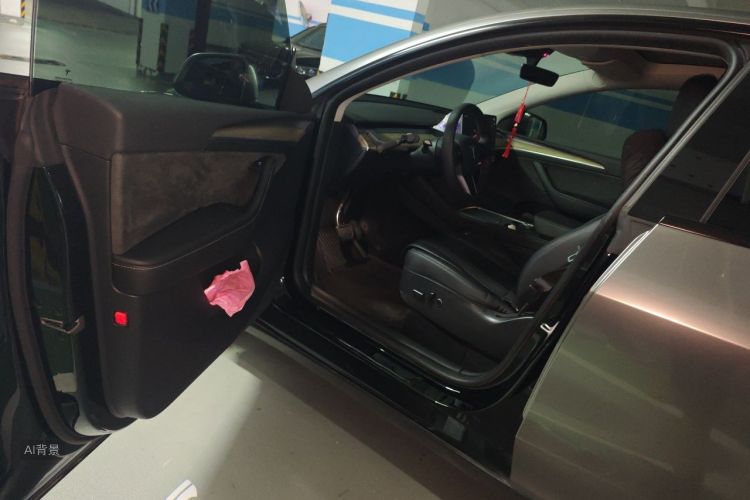 Tesla Model Y 2023 car image #18
