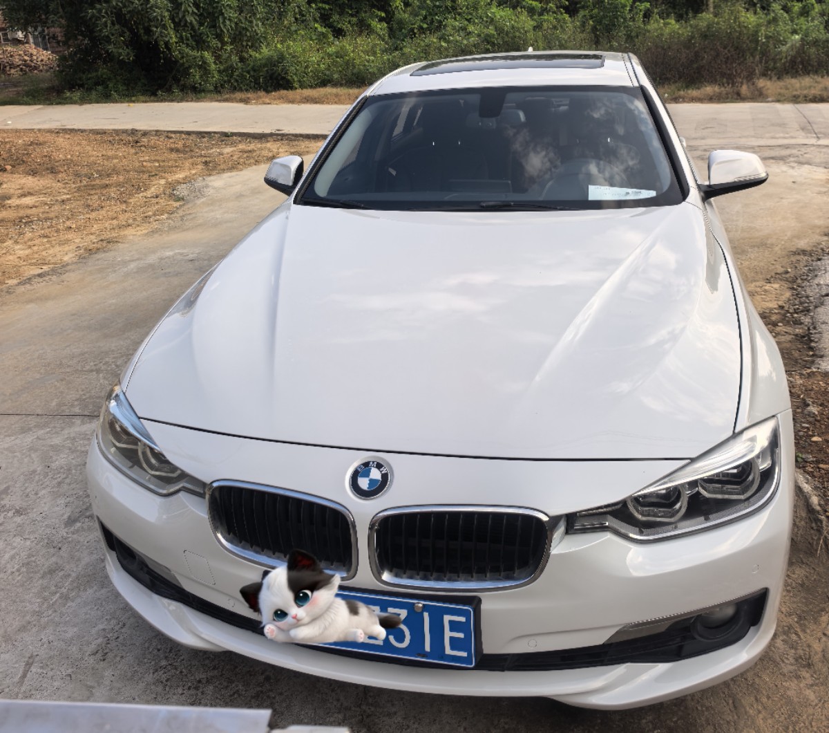 BMW 3 Series 2016 immagine di auto #2