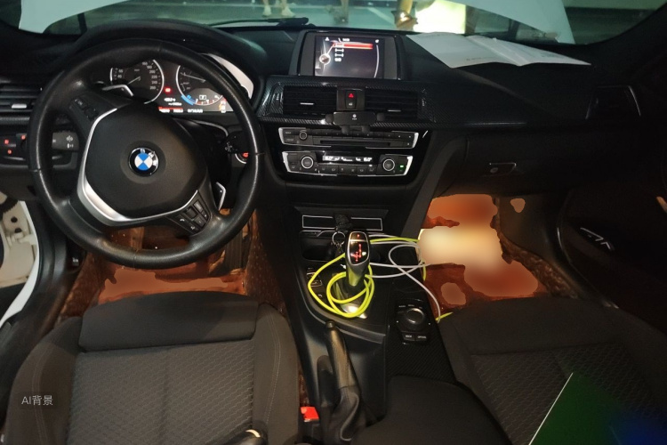 BMW 3 Series 2017 car image #11