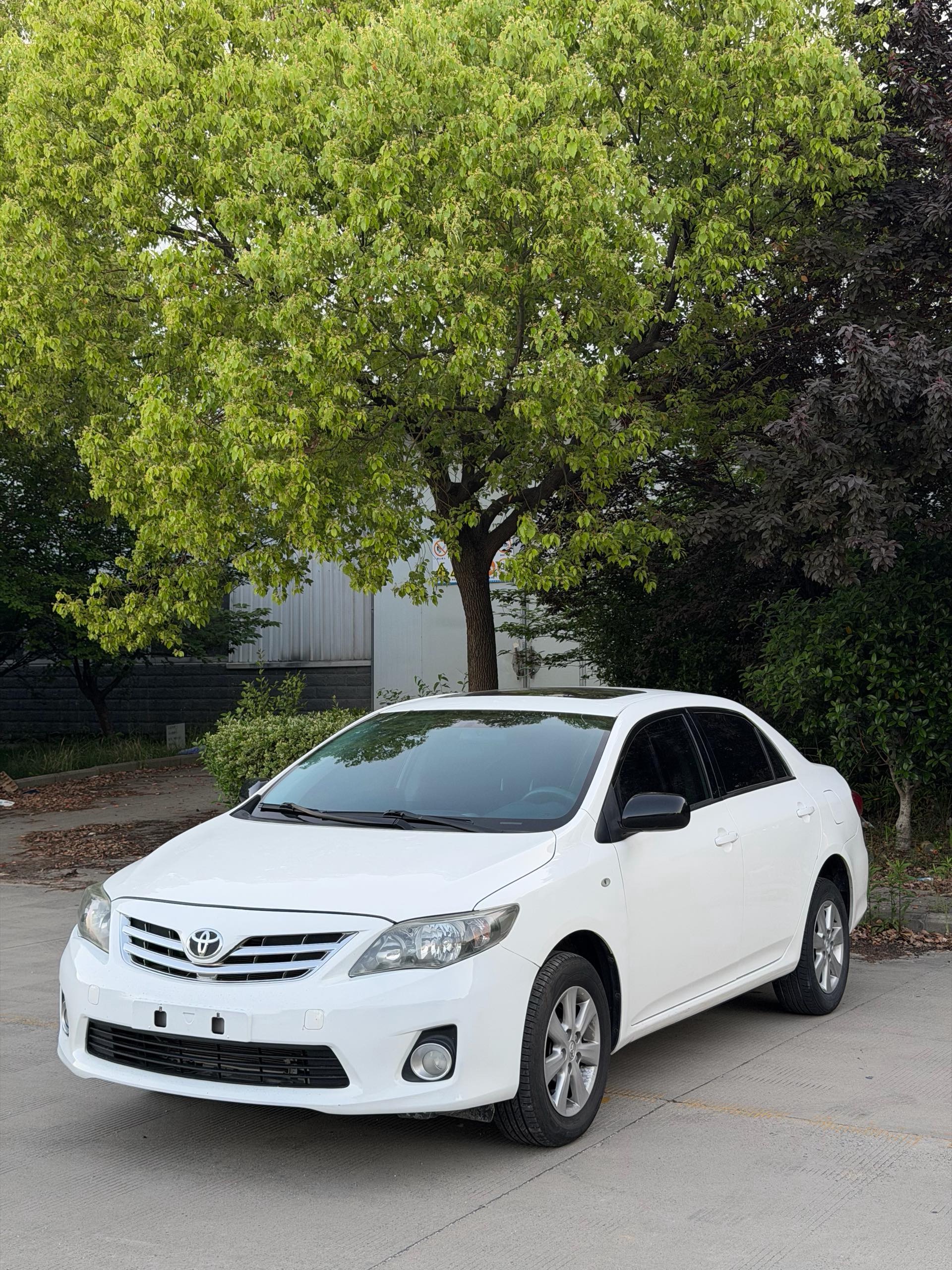 Toyota Corolla 2014 Toyota Corolla 2014 car image