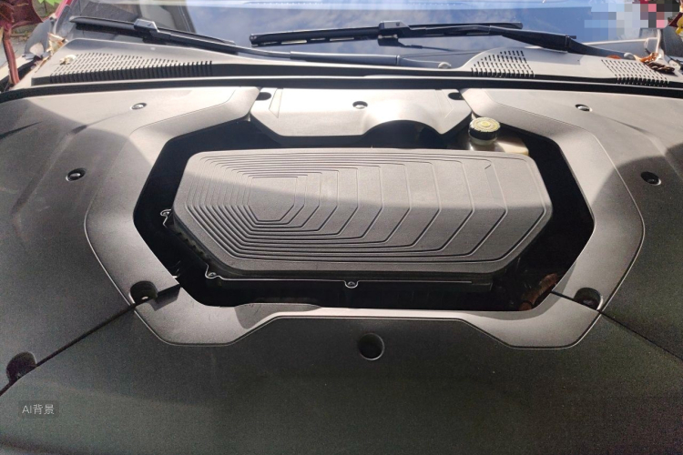 BYD Han 2020 car image #22