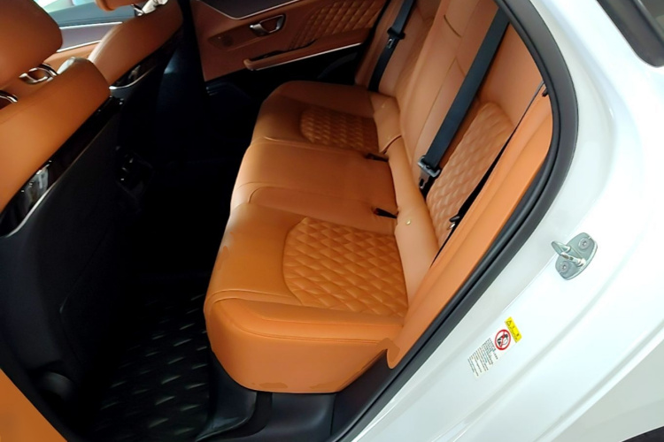BYD Han 2022 #17 BYD Han 2022 car image #17