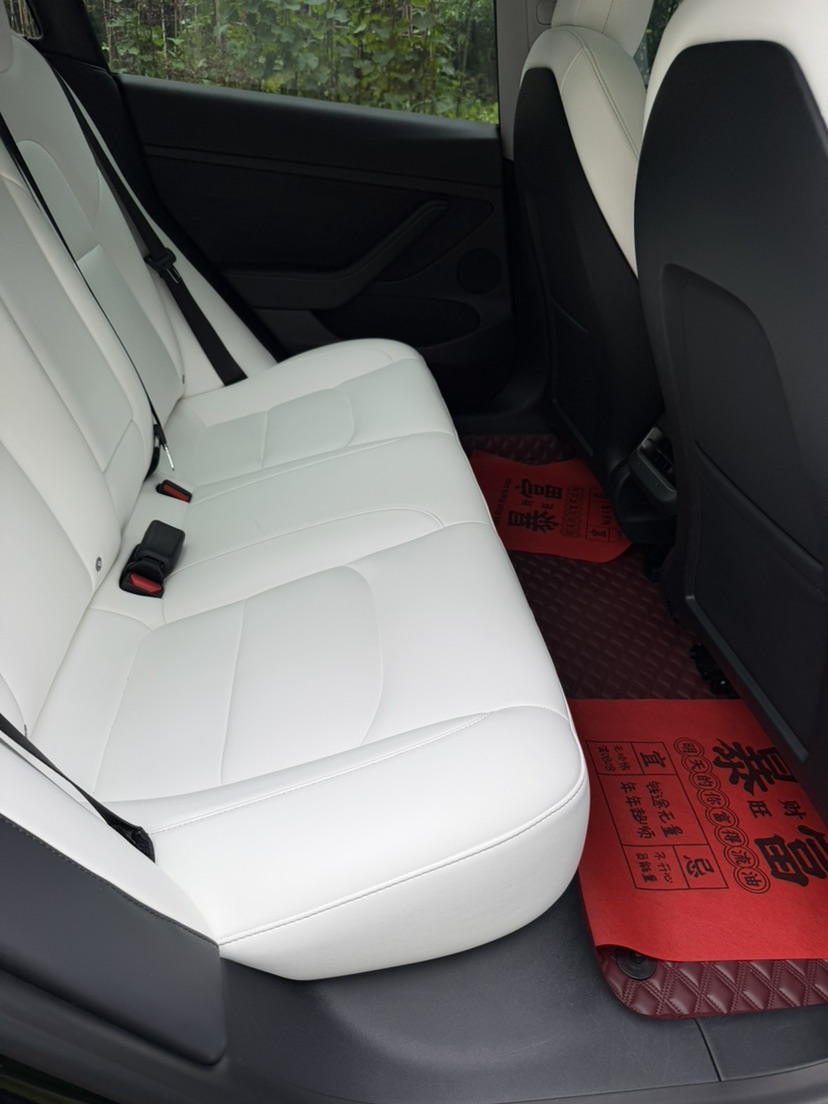 Tesla Model 3 2021 car image #5