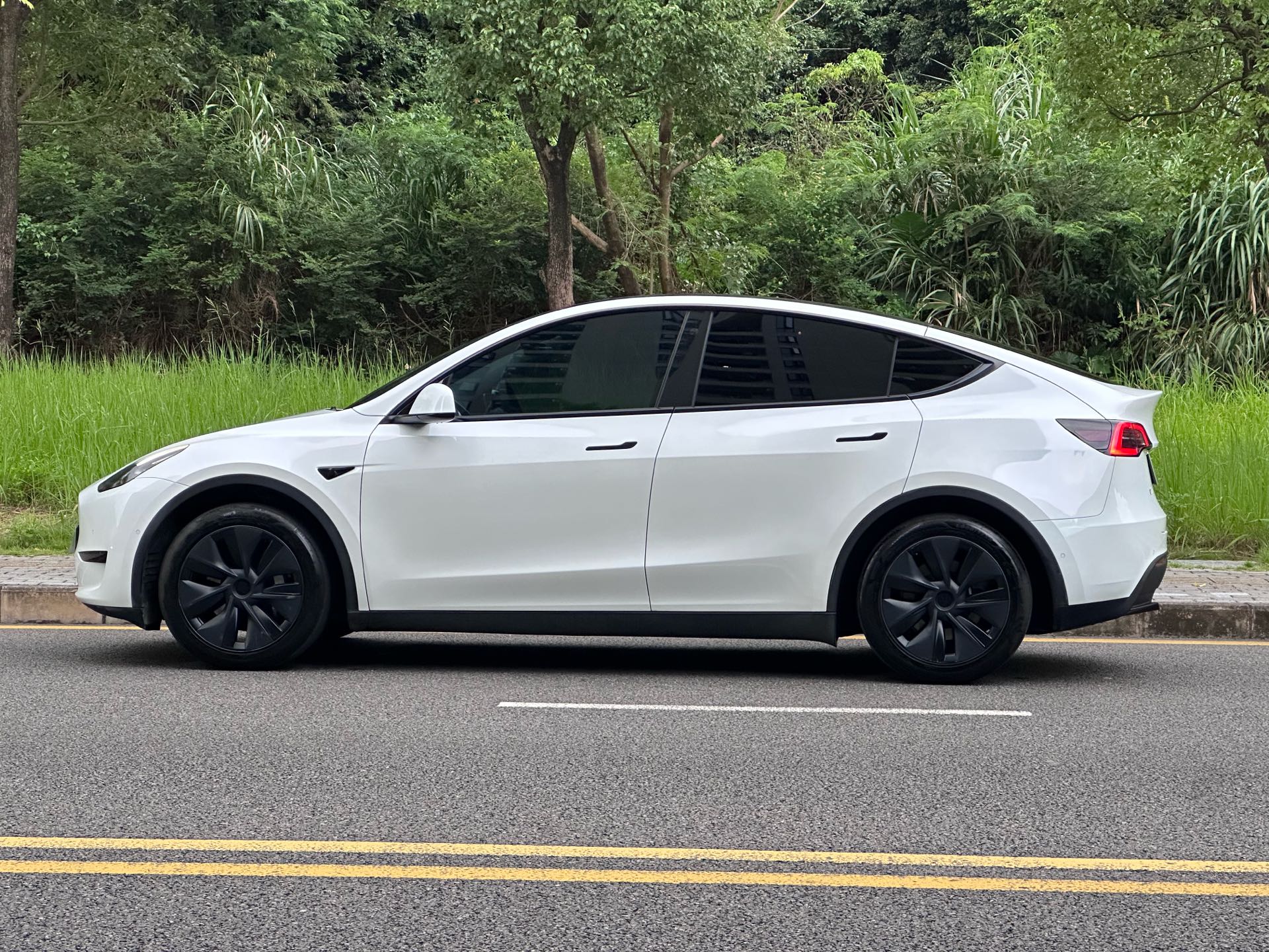 Tesla Model Y 2024 #13 Tesla Model Y 2024 car image #13