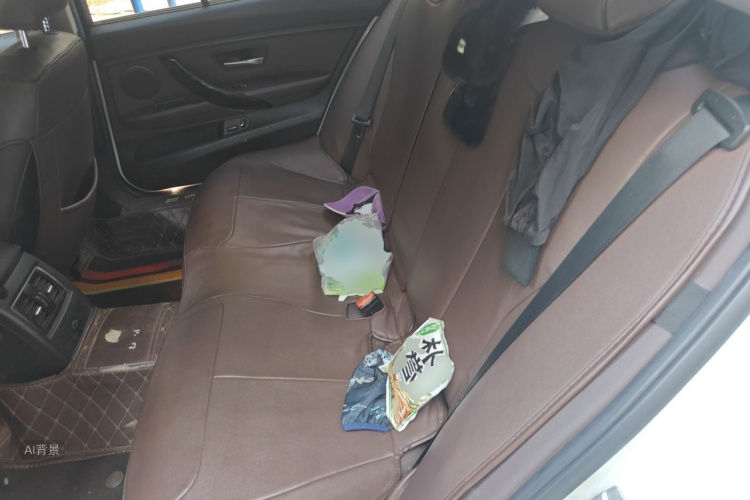 BMW 3 Series 2018 car image #19