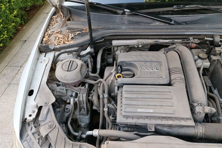 Audi A3 2019 #28 Audi A3 2019 immagine di auto #28