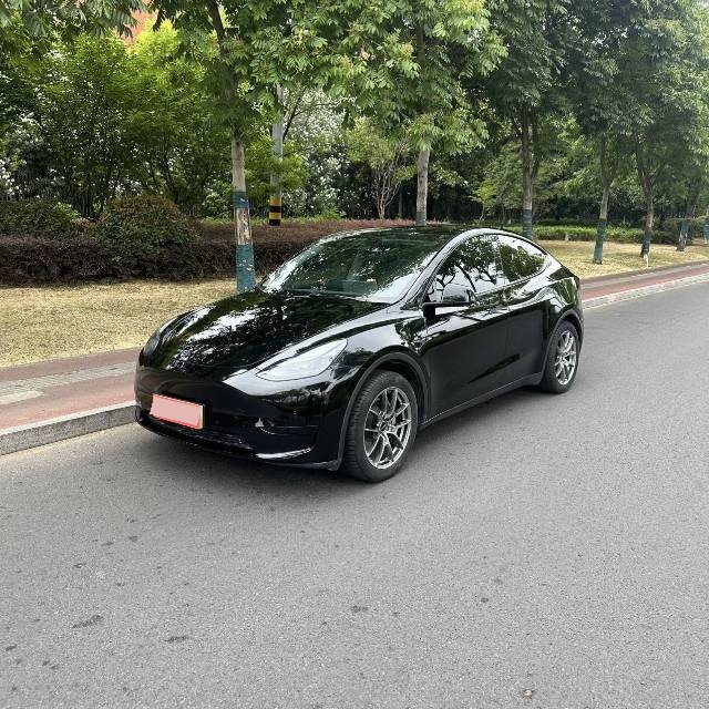 Tesla Model Y 2024 Tesla Model Y 2024 car image