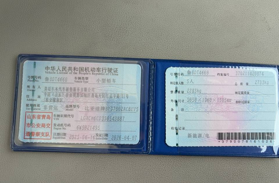 BYD HanL 2025 car image #10