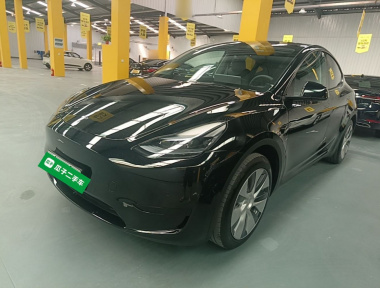Tesla Model Y 2023 Tesla Model Y 2023 car image