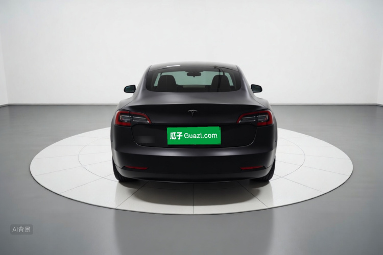 Tesla Model 3 2021 car image #6