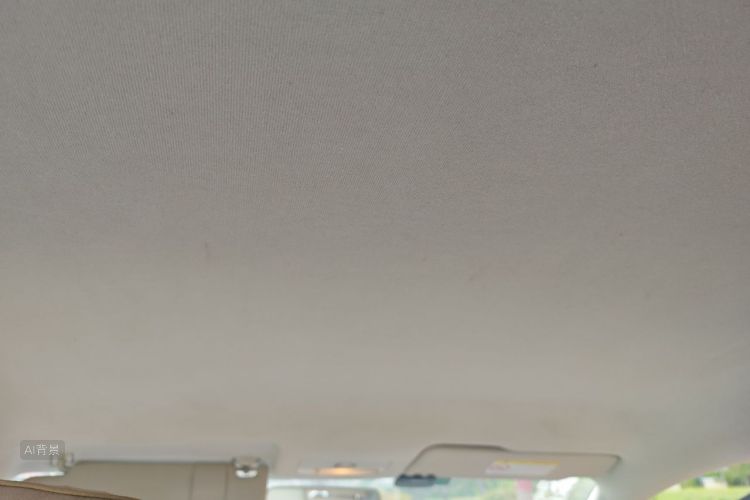 Volkswagen Santana 2016 car image #20