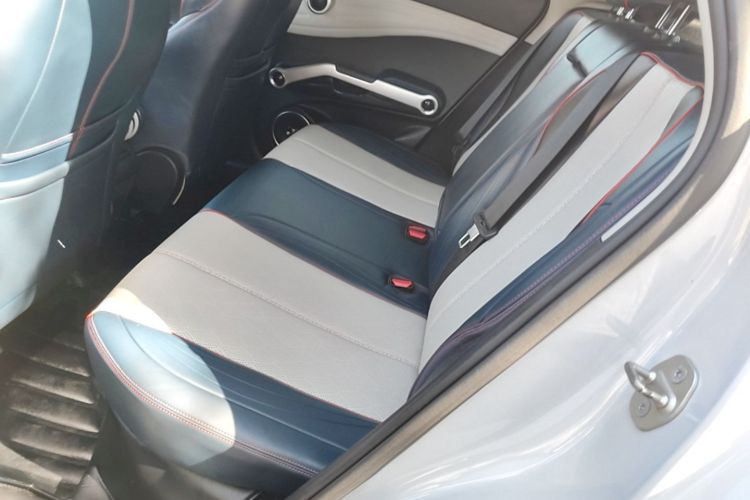 BYD Yuan Plus 2023 car image #17