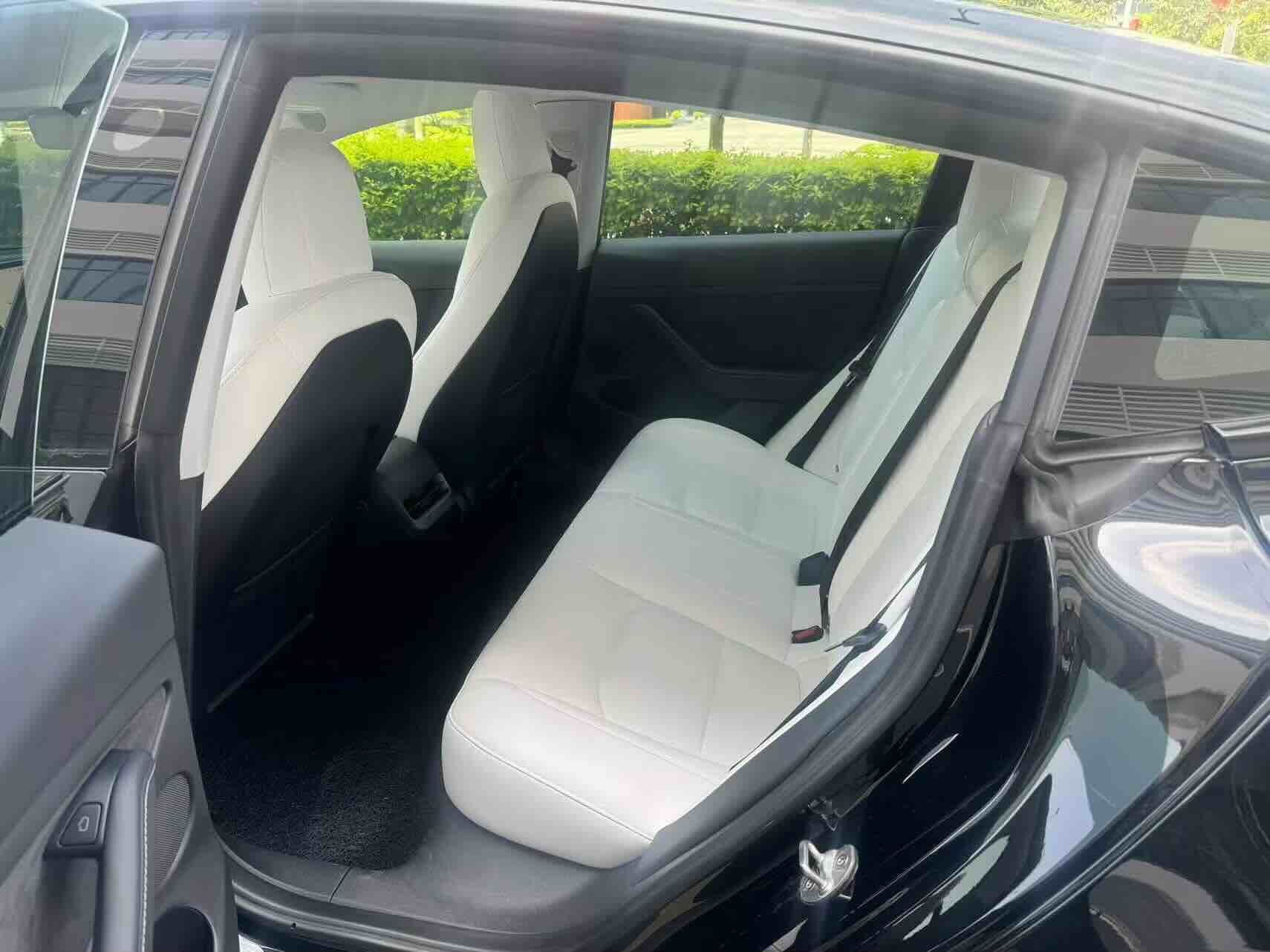 Tesla Model 3 2022 #6 Tesla Model 3 2022 car image #6