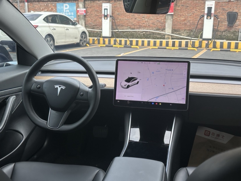 Tesla Model 3 2021 #6 Tesla Model 3 2021 car image #6