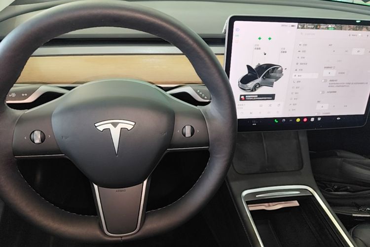 Tesla Model 3 2021 #18 Tesla Model 3 2021 car image #18