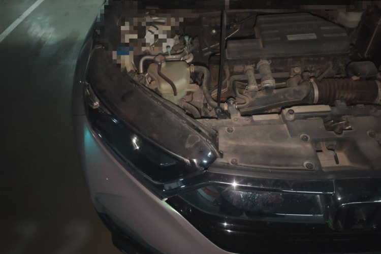 Honda CR-V 2019 #28 Honda CR-V 2019 car image #28