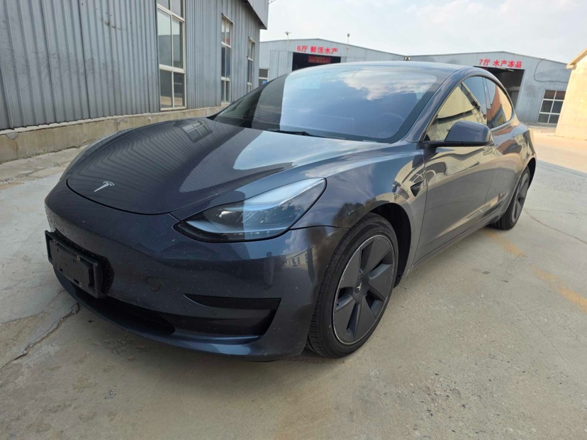 Tesla Model 3 2021 Tesla Model 3 2021 car image
