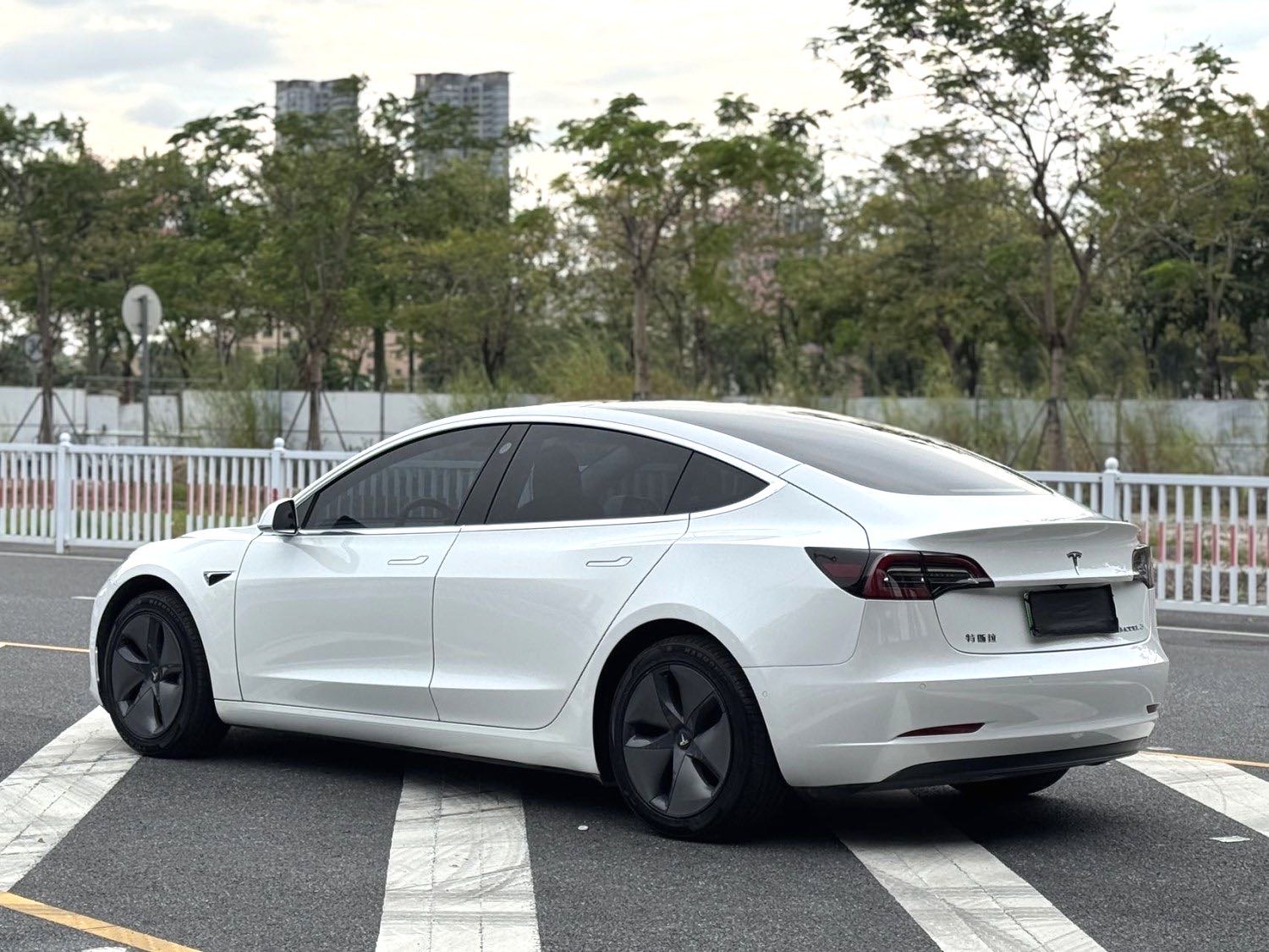 Tesla Model 3 2020 immagine di auto #6