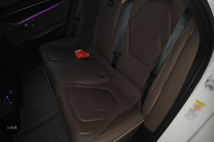 BYD Han 2022 immagine di auto #19