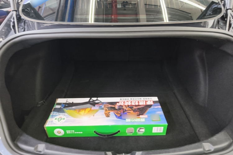 Tesla Model 3 2020 immagine di auto #19