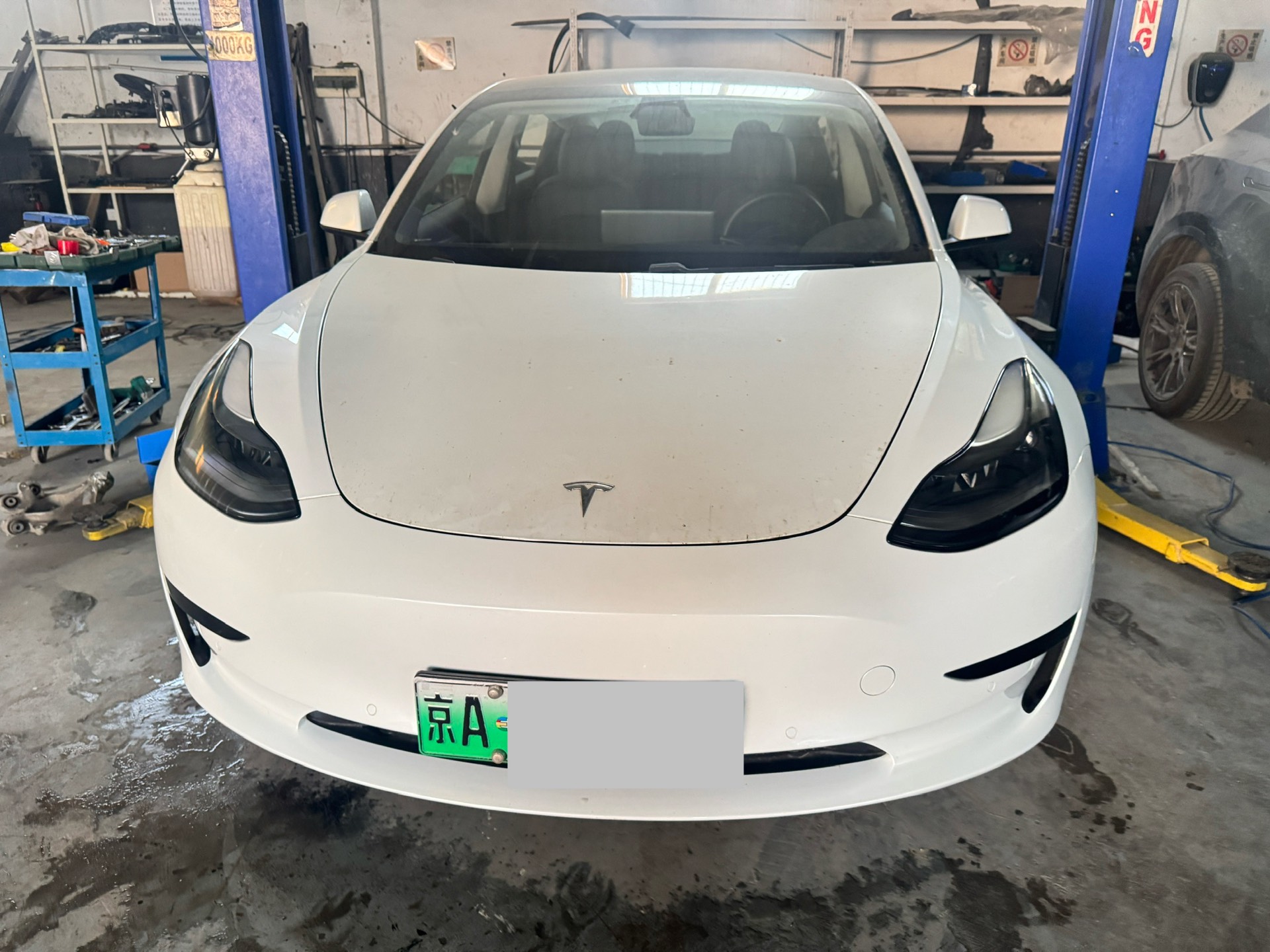 Tesla Model 3 2021 immagine di auto #5