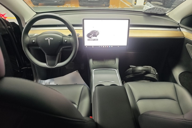Tesla Model Y 2021 #10 Tesla Model Y 2021 car image #10