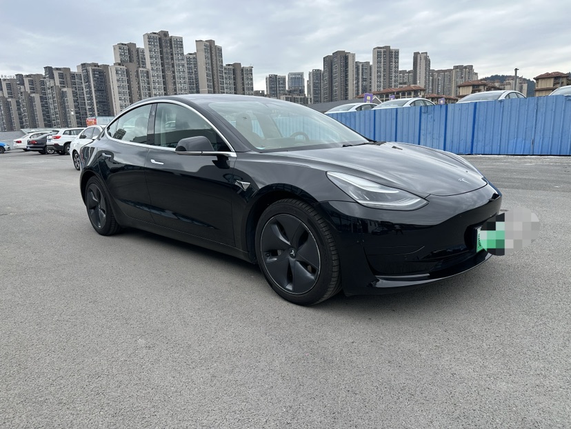 Tesla Model 3 2021 #2 Tesla Model 3 2021 car image #2