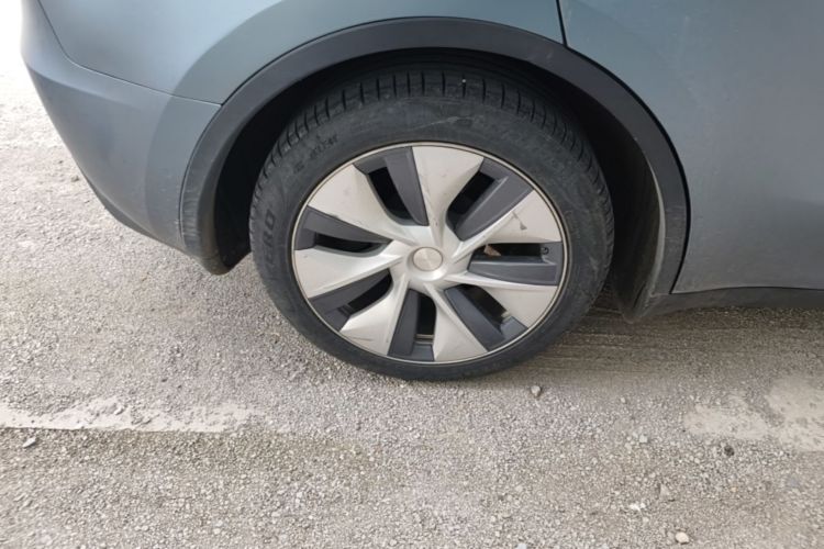 Tesla Model Y 2023 #10 Tesla Model Y 2023 car image #10