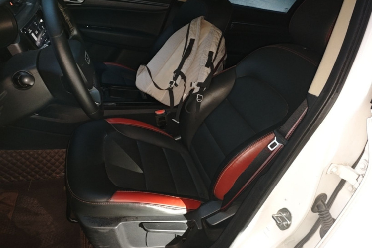 GEELY Emgrand GS 2021 immagine di auto #15
