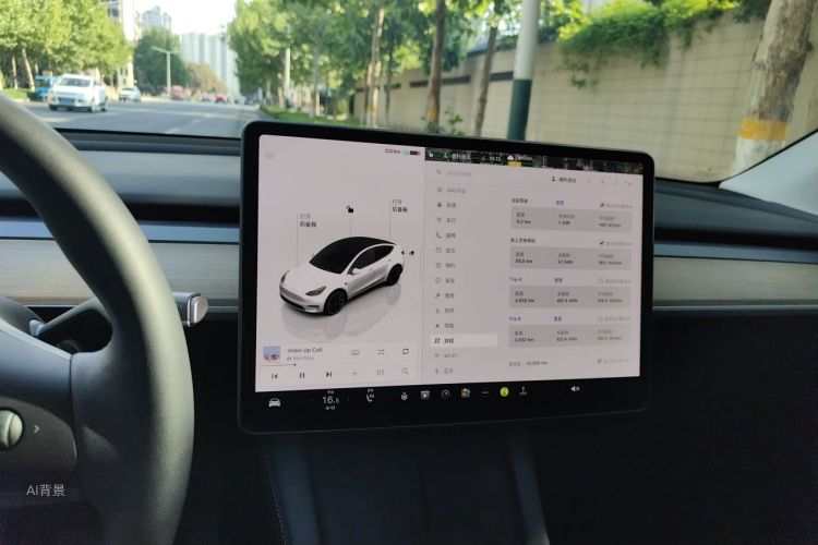 Tesla Model Y 2023 #13 Tesla Model Y 2023 car image #13